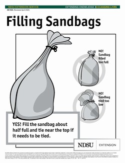Picture of properly filled sandbag