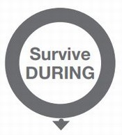 Survive During with Arrow